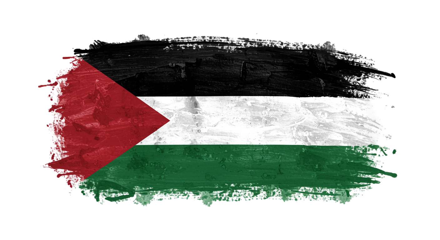 Palestine Flag Transparent Png (30)