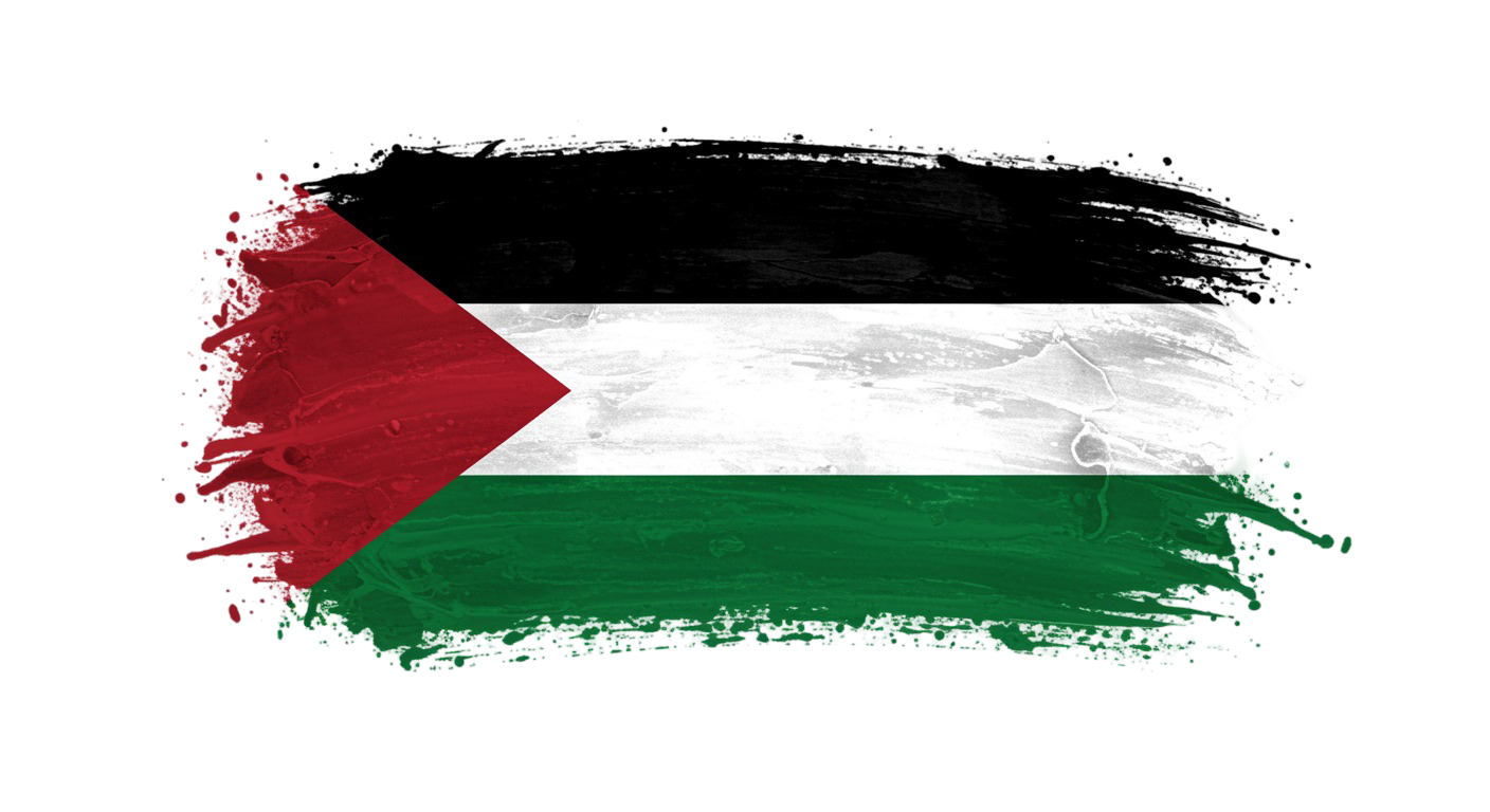 Palestine Flag Transparent Png (31)