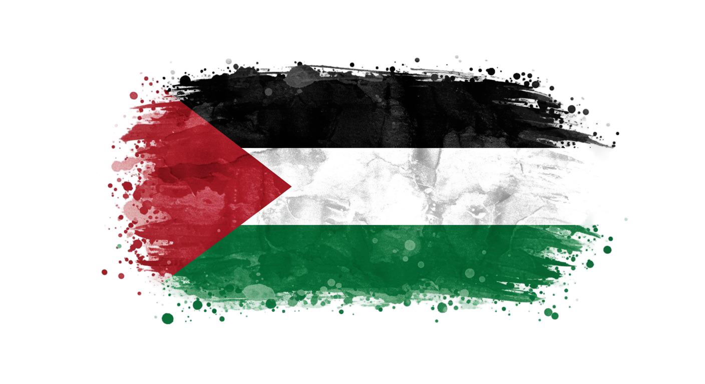 Palestine Flag Transparent Png (32)