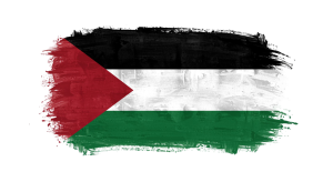 Palestine Flag Transparent Png (4)