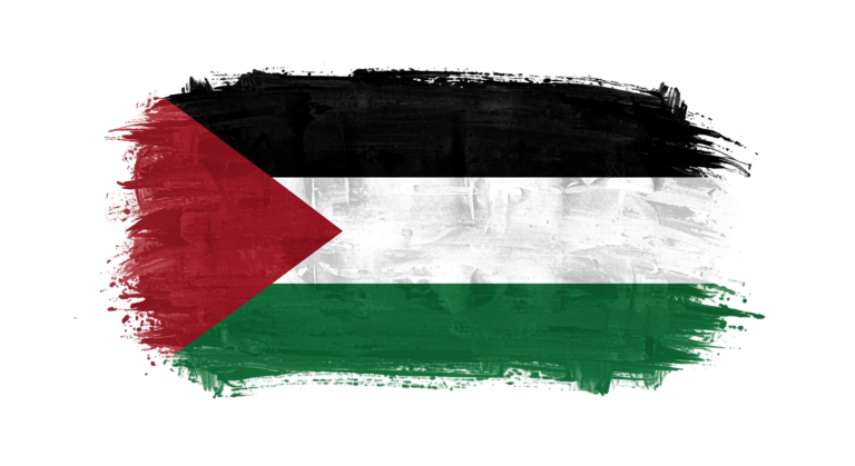 Palestine Flag Transparent Png (4)
