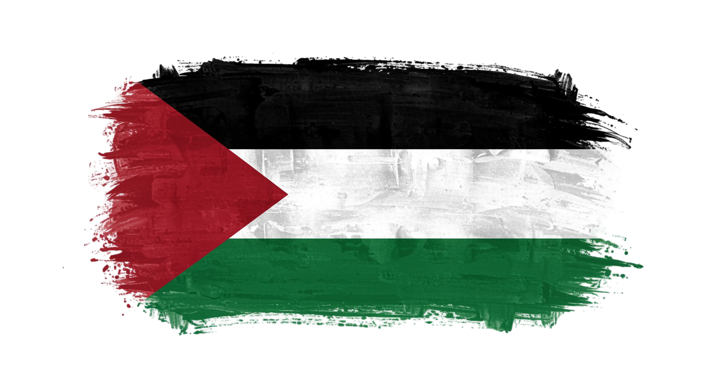 Palestine Flag Transparent Png (4)