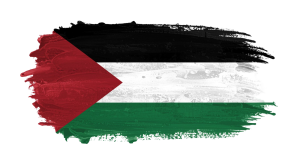 Palestine Flag Transparent Png (5)