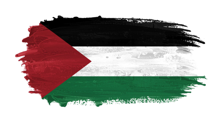 Palestine Flag Transparent Png (5)
