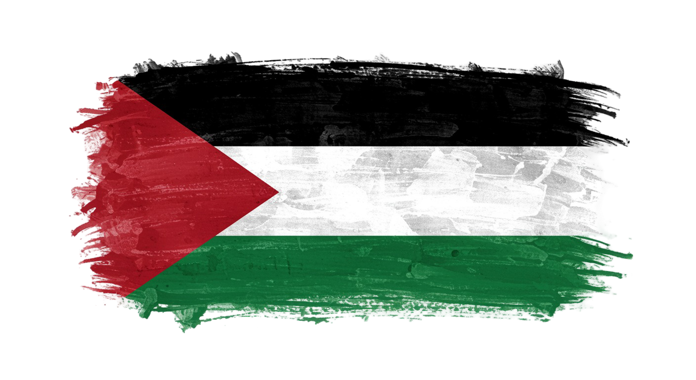 Palestine Flag Transparent Png (6)