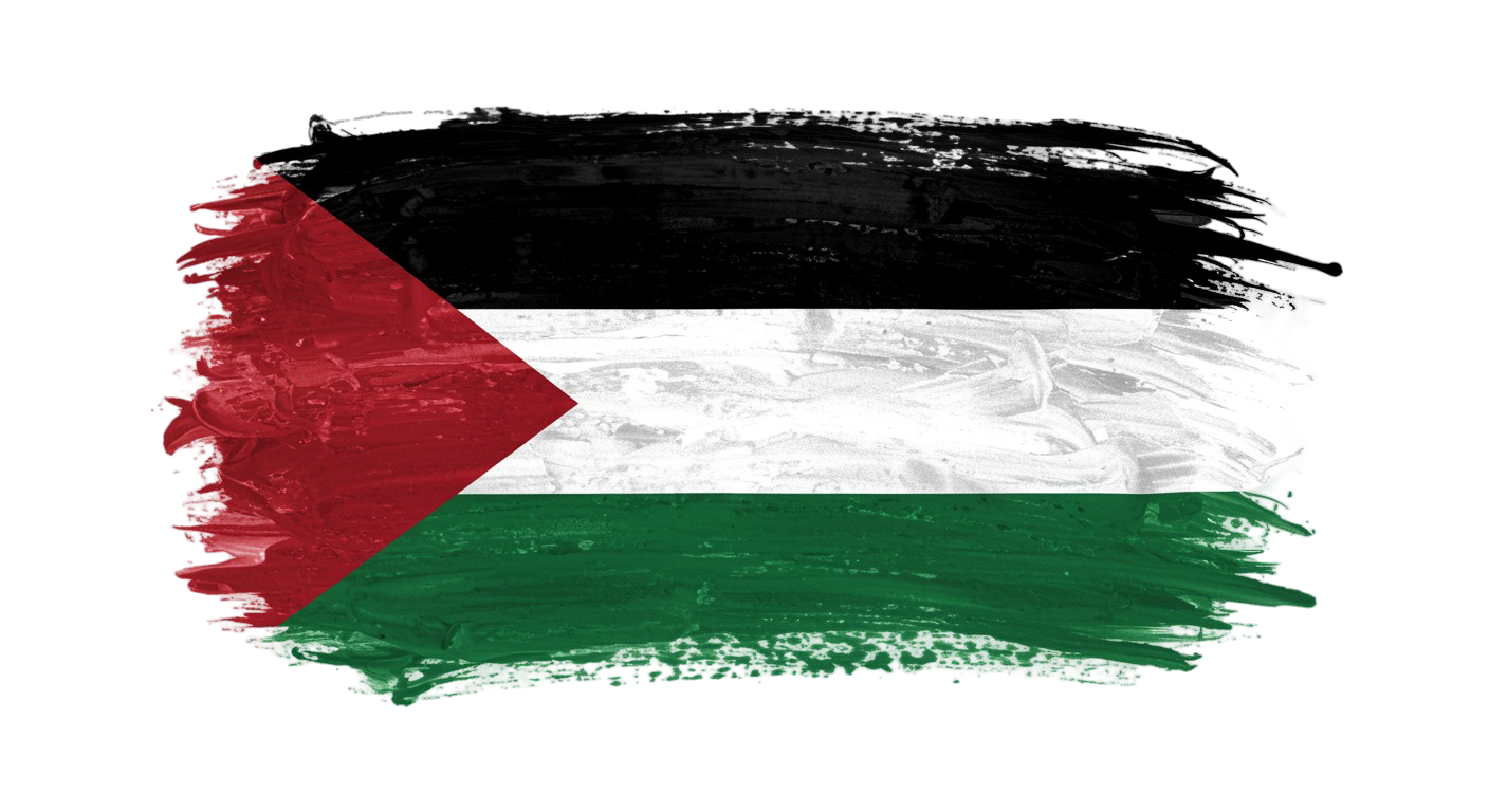 Palestine Flag Transparent Png (7)