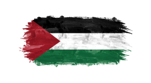 Palestine Flag Transparent Png (8)