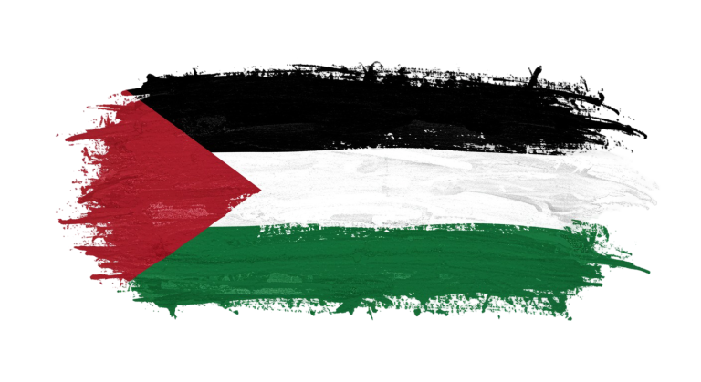 Palestine Flag Transparent Png (9)