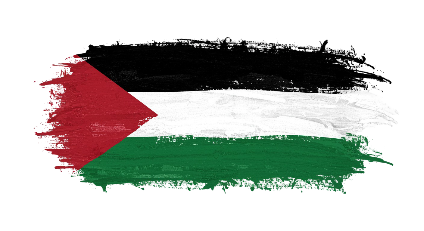 Palestine Flag Transparent Png (9)