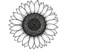 Synflower Transparent Png (13)