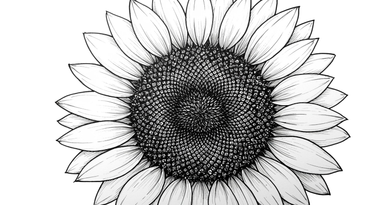Synflower Transparent Png (25)
