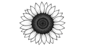 Synflower Transparent Png (26)