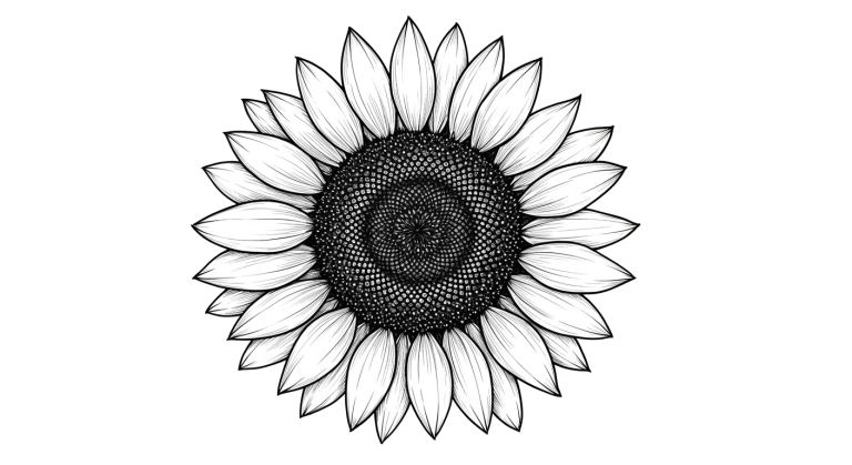 Synflower Transparent Png (26)