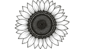 Synflower Transparent Png (3)