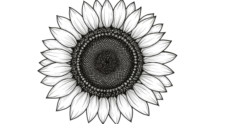 Synflower Transparent Png (3)