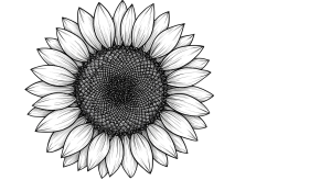 Synflower Transparent Png (4)