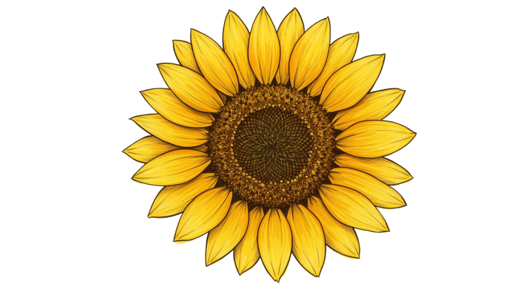 Synflower Transparent Png (8)