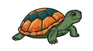 Turtle Transparent Png (3)