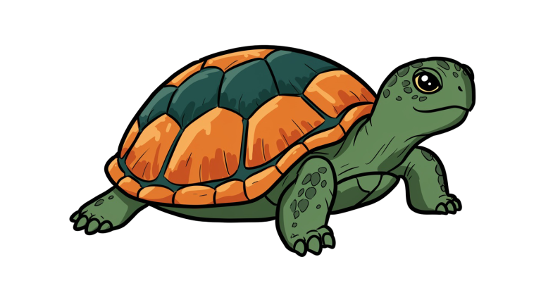 Turtle Transparent Png (3)