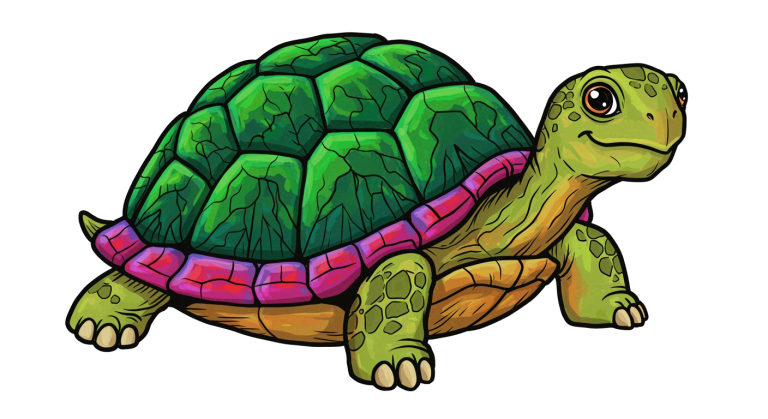 Turtle Transparent Png (36)