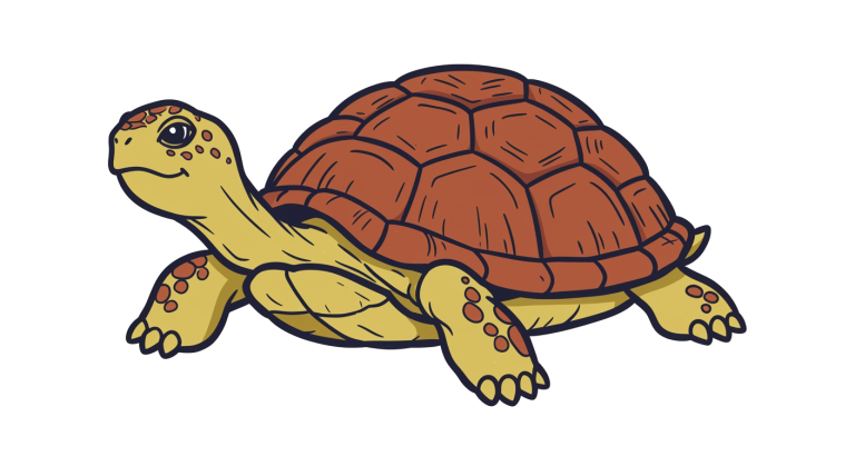 Turtle Transparent Png (39)