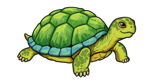 Turtle Transparent Png (40)