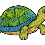 Turtle PNG