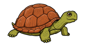 Turtle Transparent Png (7)