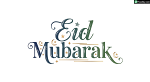 Eid Mubarak Calligraphy isolated on transparent background (60)