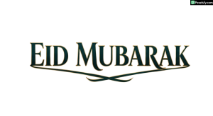 Eid Mubarak calligraphy design isolated on transparent background (1)