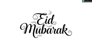 Eid Mubarak calligraphy design isolated on transparent background (21)