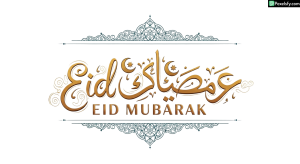 Eid Mubarak calligraphy design isolated on transparent background (24)