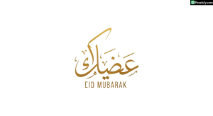 Eid Mubarak calligraphy greeting isolated on transparent background (25)