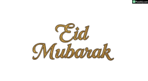 Eid Mubarak calligraphy greeting isolated on transparent background (40)