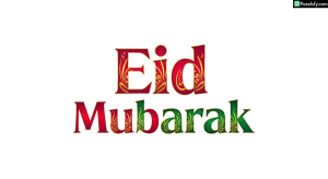 Eid Mubarak calligraphy greeting isolated on transparent background (48)