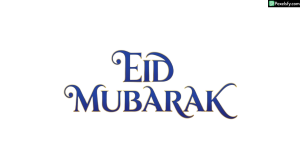 Eid Mubarak calligraphy isolated on transparent background (16)