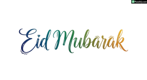Eid Mubarak calligraphy isolated on transparent background (24)