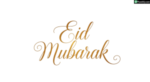 Eid Mubarak calligraphy isolated on transparent background (25)