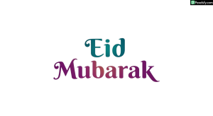 Eid Mubarak calligraphy isolated on transparent background (31)