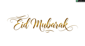 Eid Mubarak calligraphy isolated on transparent background (59)