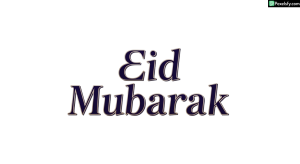 Eid Mubarak greeting text isolated on transparent background (24)