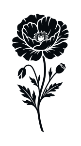 Flower png image