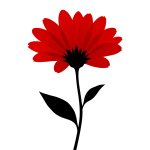 Silhouette flower png photo
