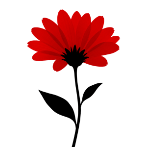 Silhouette flower png photo