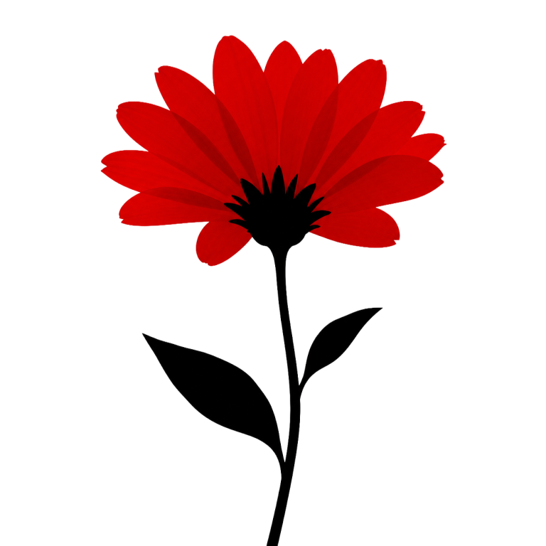 Silhouette flower png photo