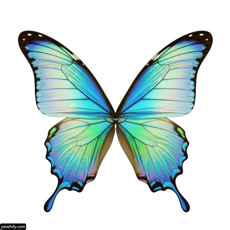 Blue and green butterfly on a white background png transparent background