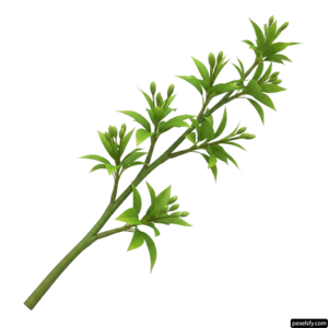 Branch of a plant with green leaves on a white background png transparent background