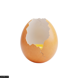 Broken egg on a white background png transparent background