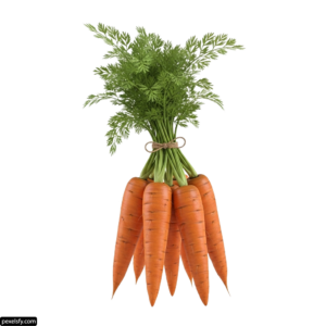 Bunch of carrots tied up with a string png transparent background
