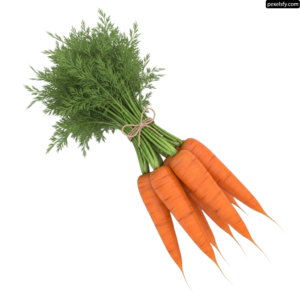 Bunch of carrots tied up with a string png transparent background